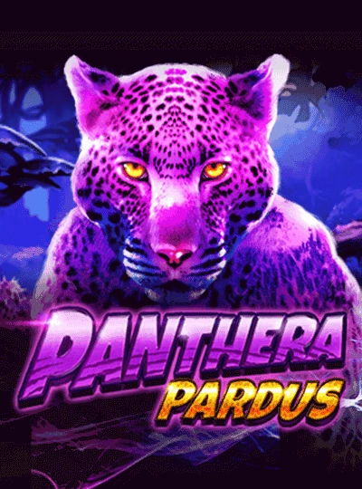 pl999 pl999